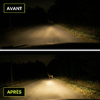 PerfectVision™ – HeadlightGuard | Restauration des phares & protection UV longue durée.